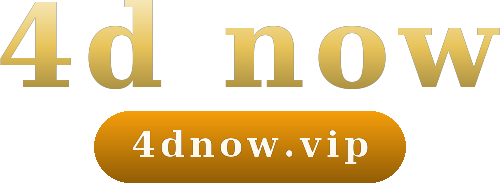 4d now logo